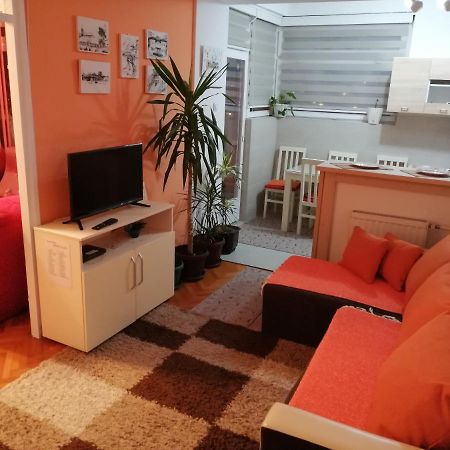 Apartman Dunja Vranje Exteriör bild
